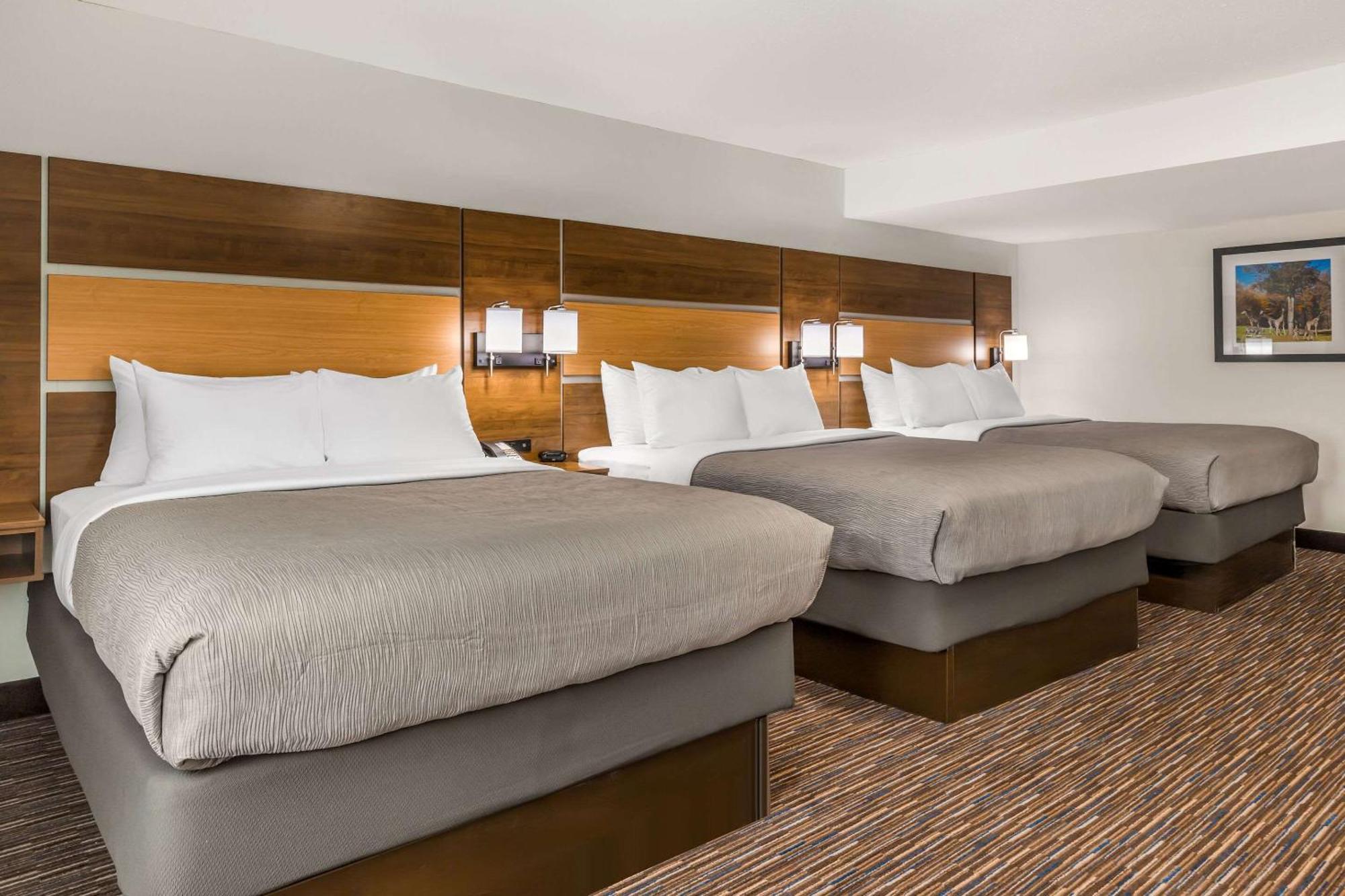 Quality Inn Asheboro South Bagian luar foto